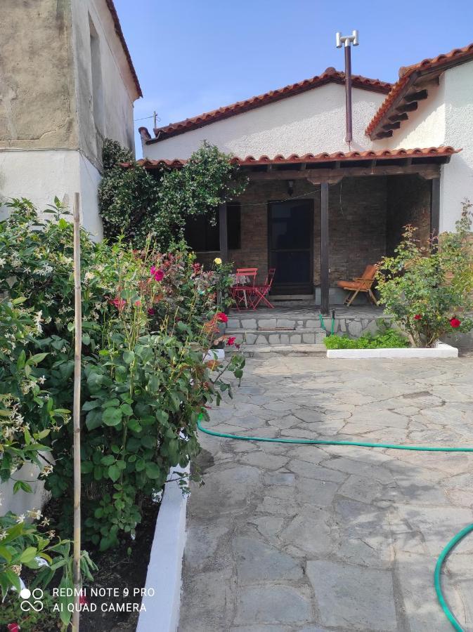 Вілла Detached House In Sykia Екстер'єр фото