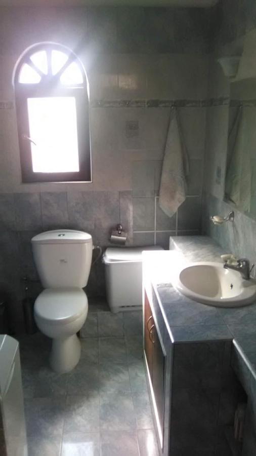 Вілла Detached House In Sykia Екстер'єр фото
